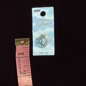 Horseshoe Charm New